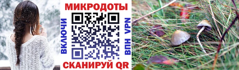 shop формула  Жирновск  Галлюциногенные грибы прущие грибы 